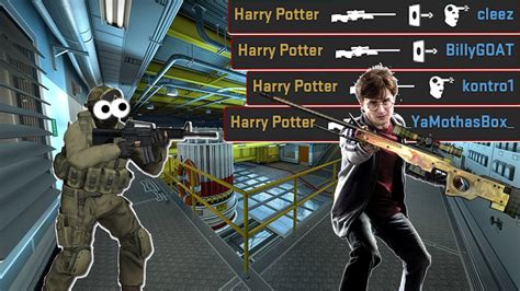 potter csgo